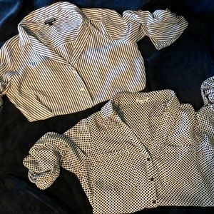 Express dress shirts